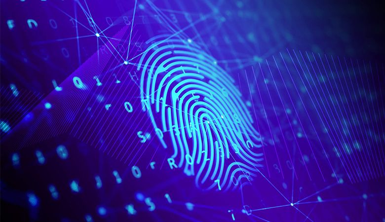 Phần mềm hệ thống (firmware)